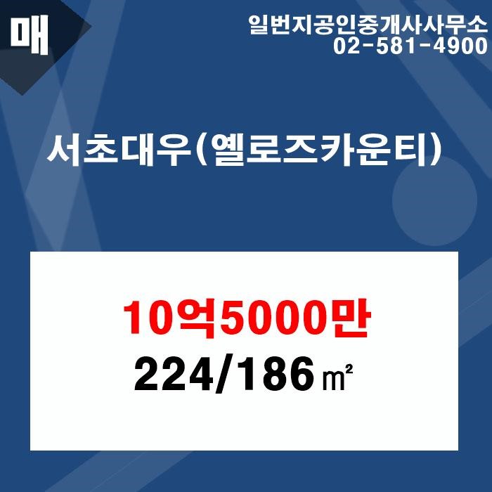 옐로즈 이미지