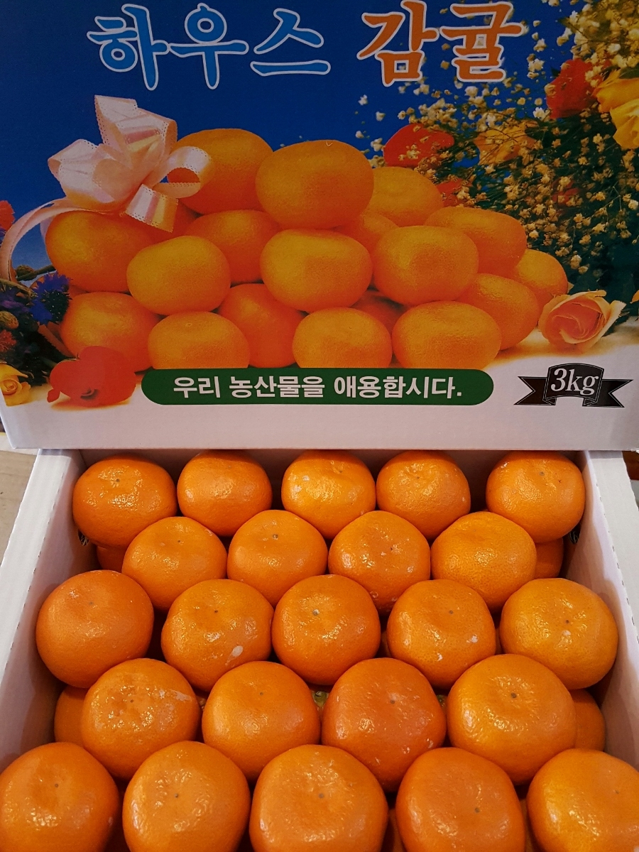 유림청과 이미지