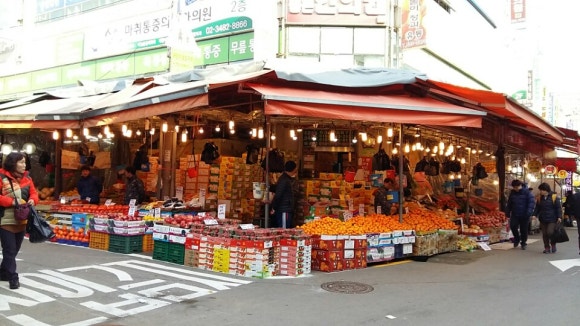해돋이청과 이미지