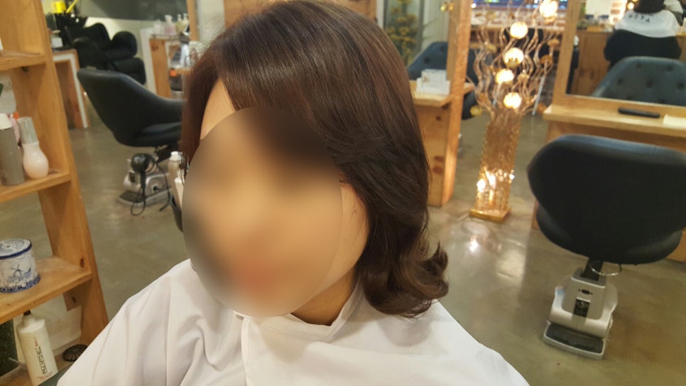 빈스헤어 이미지