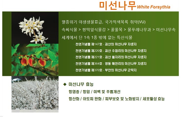 엔제이바이오 이미지