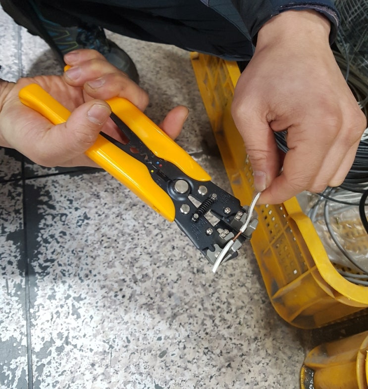 이지상사 이미지