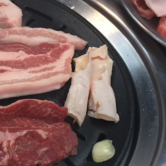 돼지나라갈매기꿈 이미지
