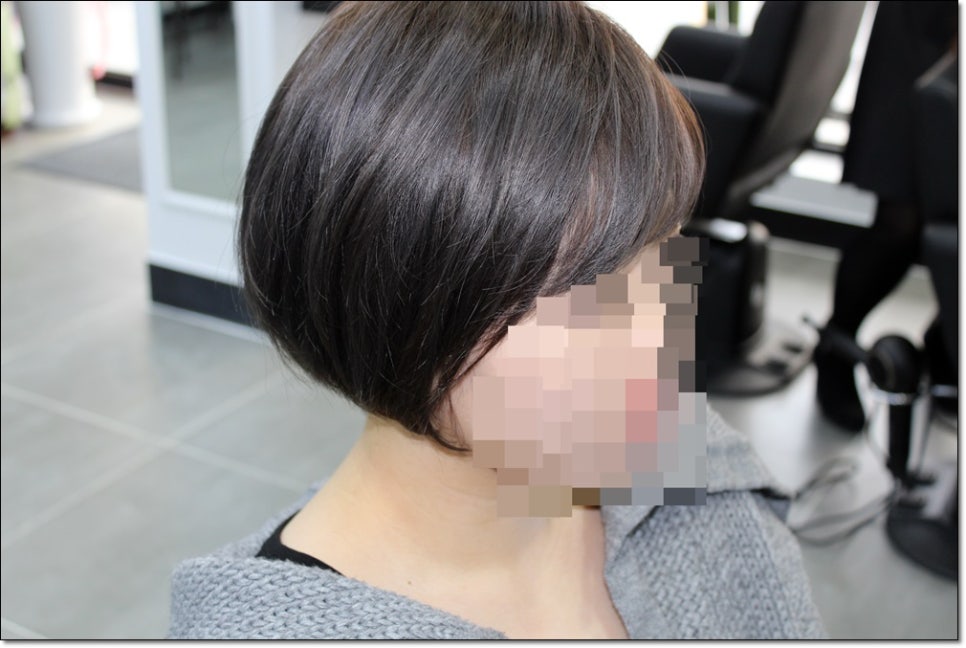 살롱드와이 이미지