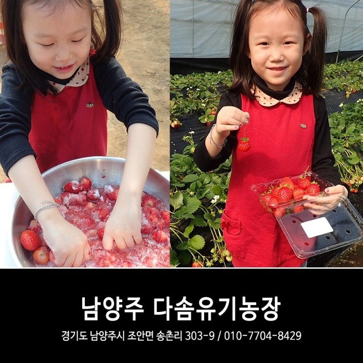 다솜산업 이미지