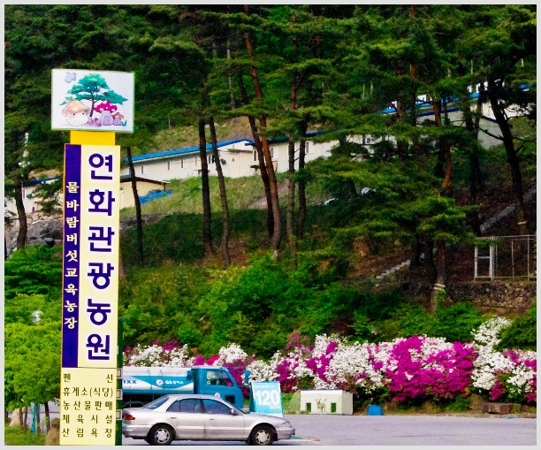 연화농원 이미지