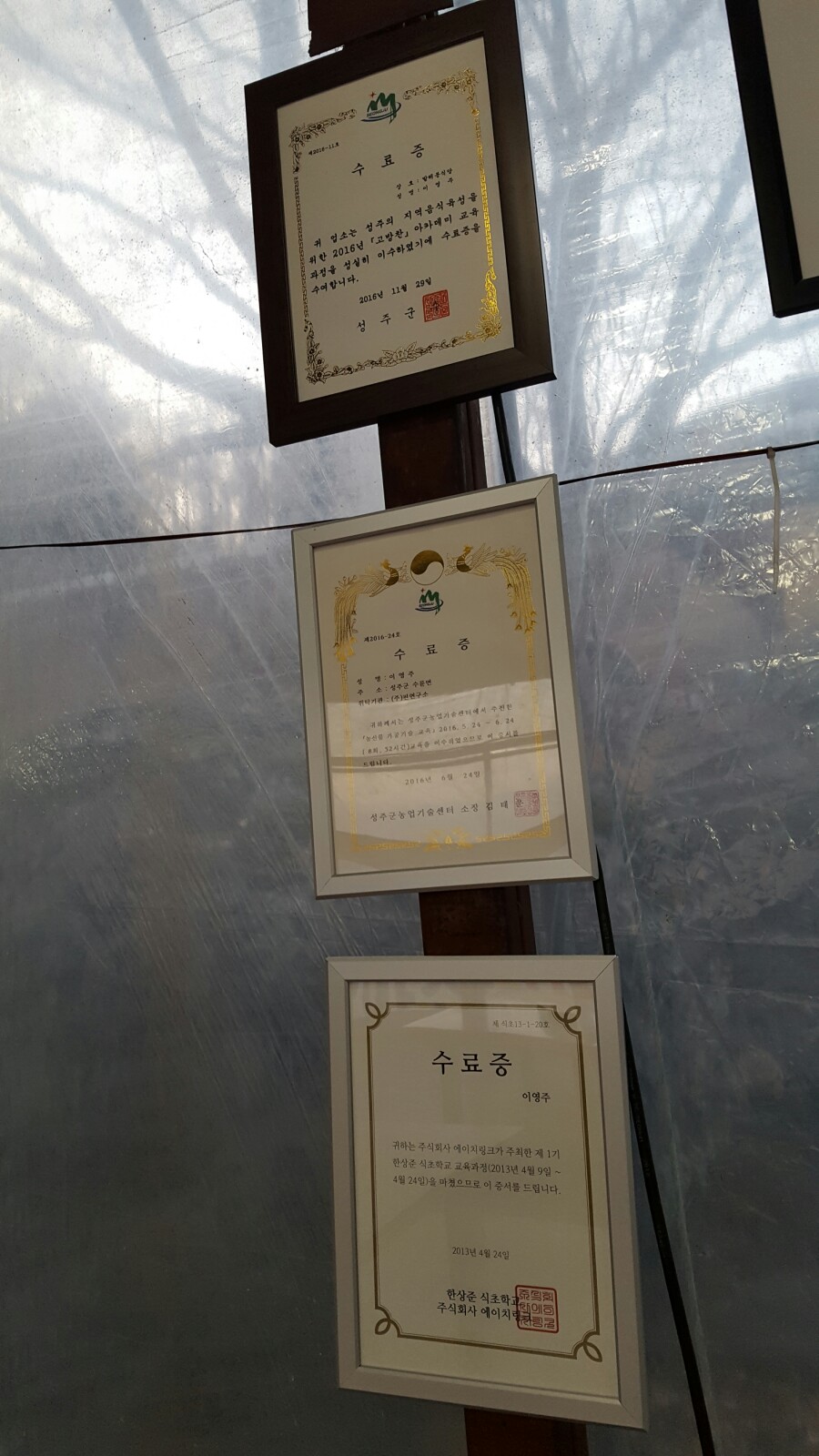 촌구석식당 이미지