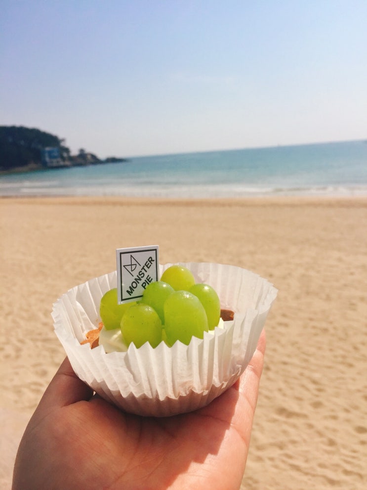 부산화소반 이미지