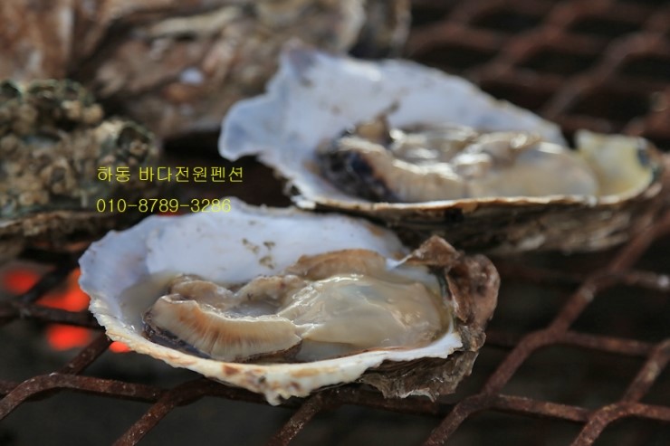 벚굴식당 이미지