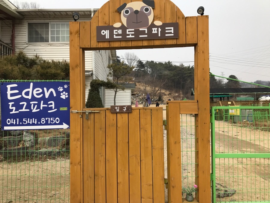 아산 에덴도그파크 훈련소 방문 후기 및 이용 정보 — 사진 3