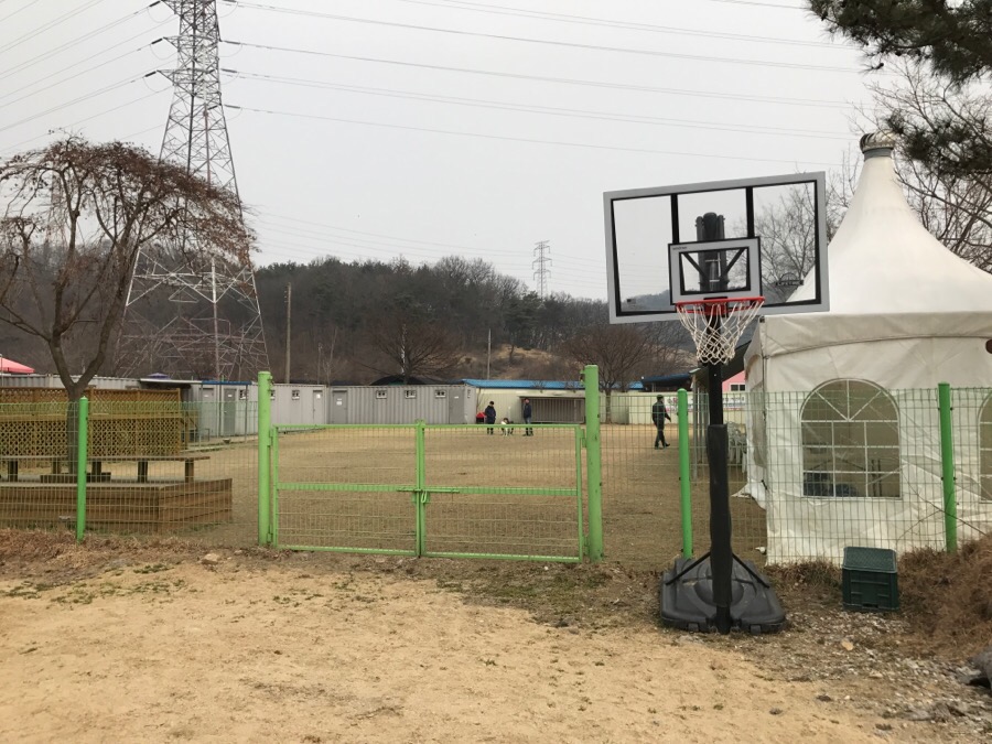 아산 에덴도그파크 훈련소 방문 후기 및 이용 정보 — 사진 12