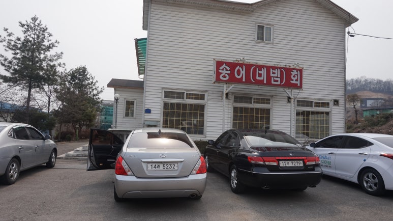 동강676 이미지