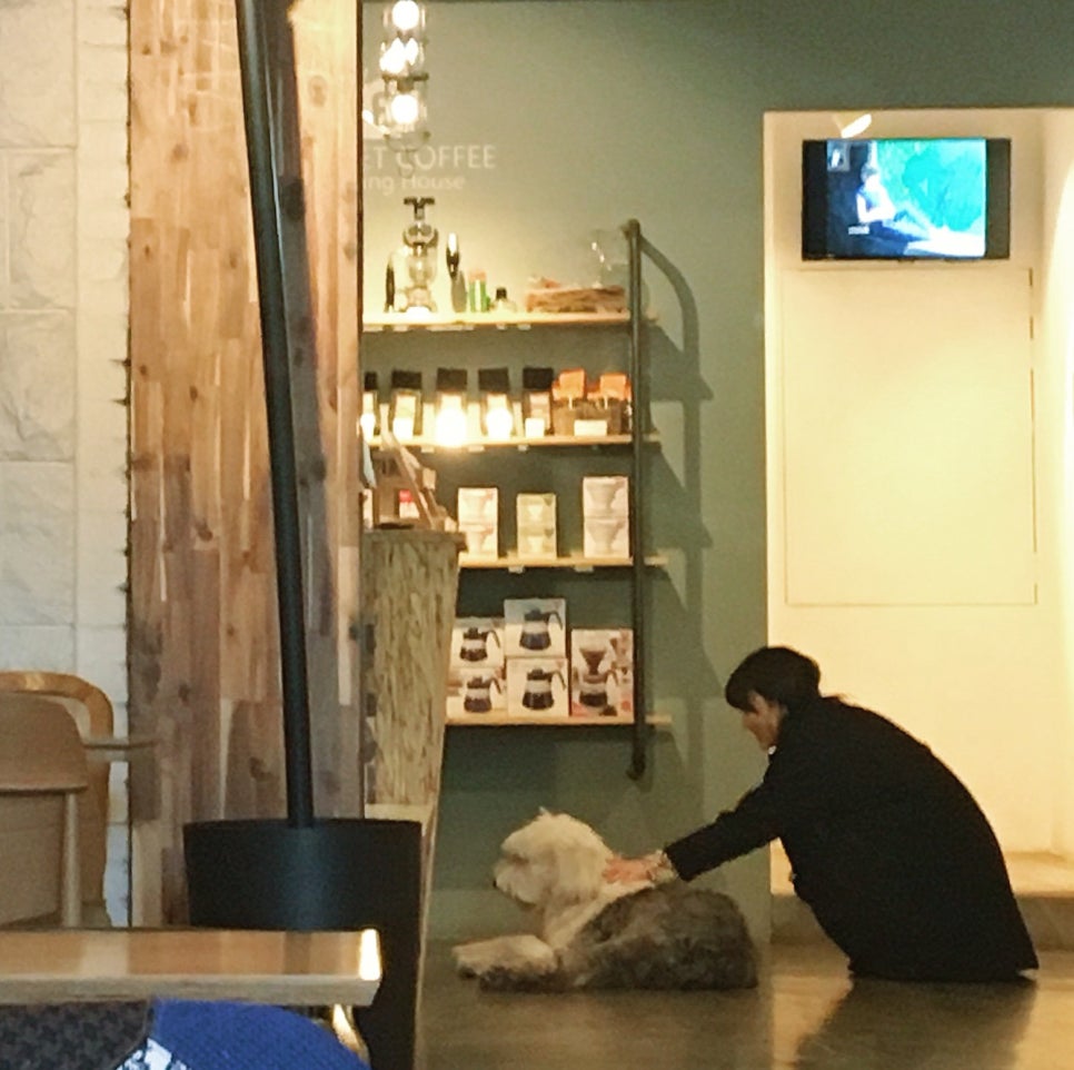 태봉라이브카페 이미지