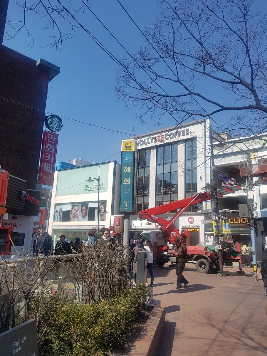 화이트빌헤어 이미지