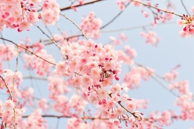 이재용치과 이미지