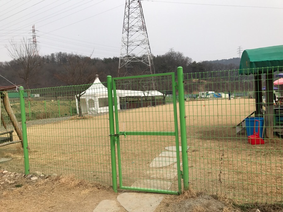 아산 에덴도그파크 훈련소 방문 후기 및 이용 정보 — 사진 11