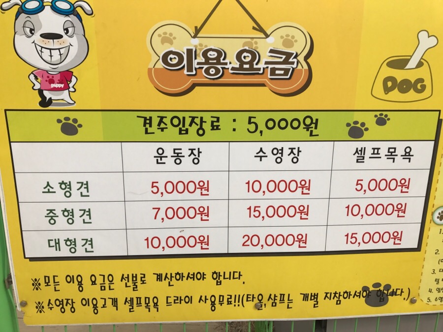 아산 에덴도그파크 훈련소 방문 후기 및 이용 정보 — 사진 4