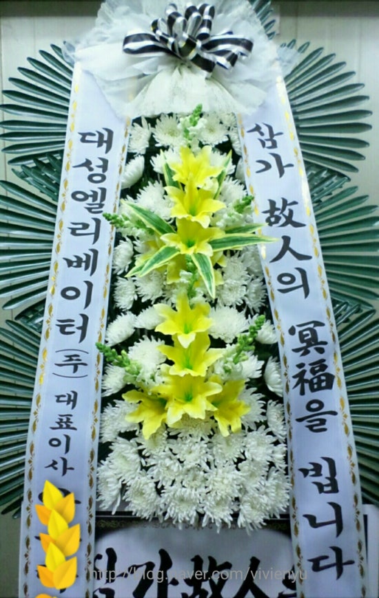 (주)대성엘리베이터 이미지