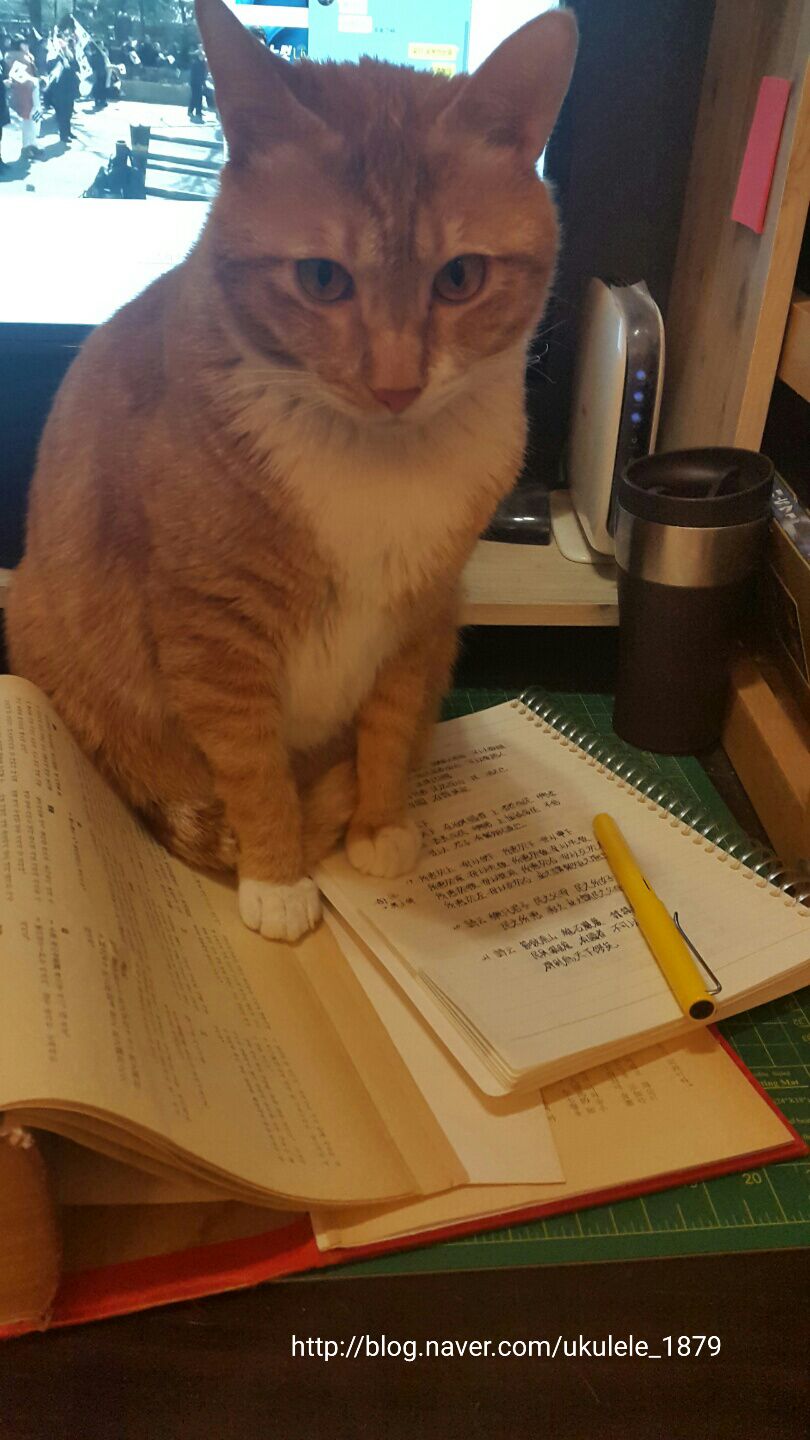 놀아줘 이미지