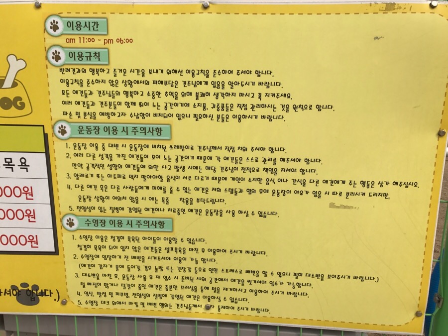아산 에덴도그파크 훈련소 방문 후기 및 이용 정보 — 사진 5