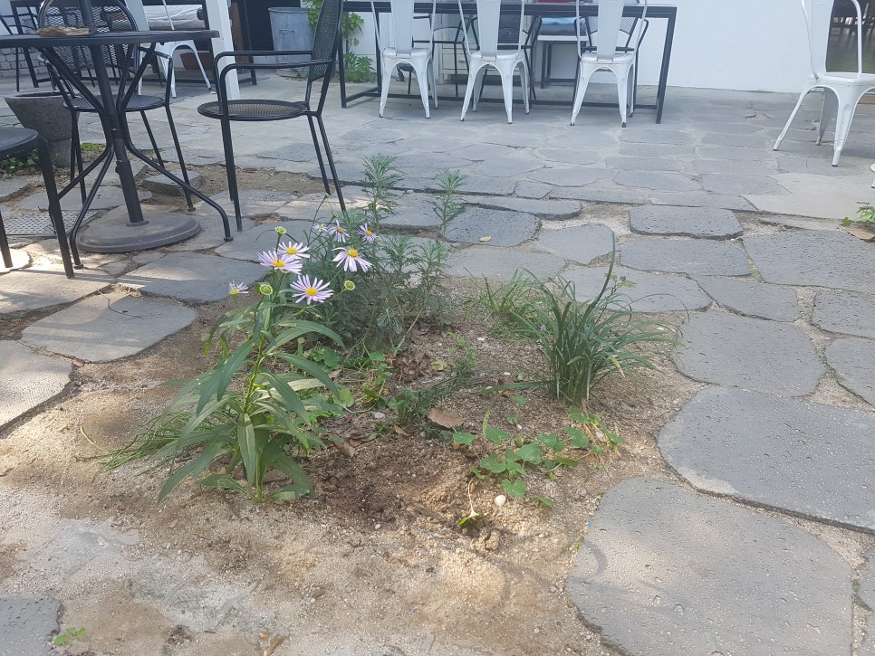 (주)두영이엔지 이미지