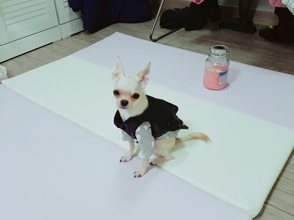 솜씨옷공방 이미지