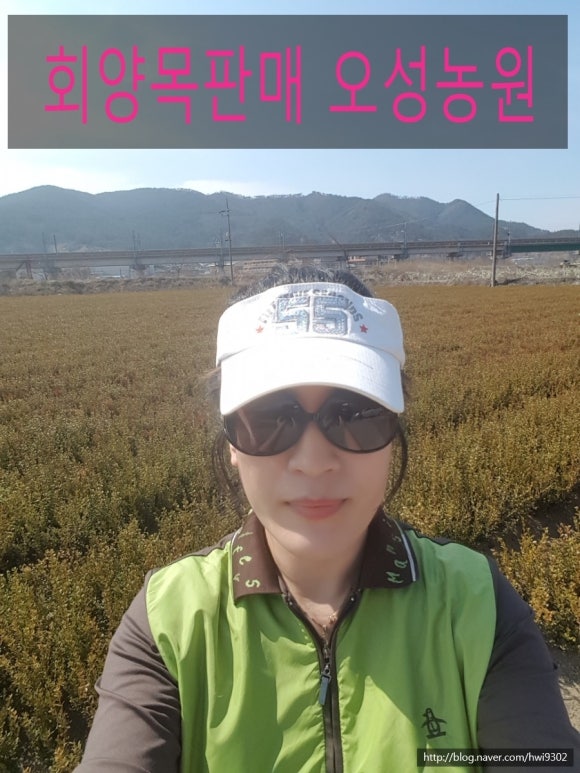 오성농원 이미지