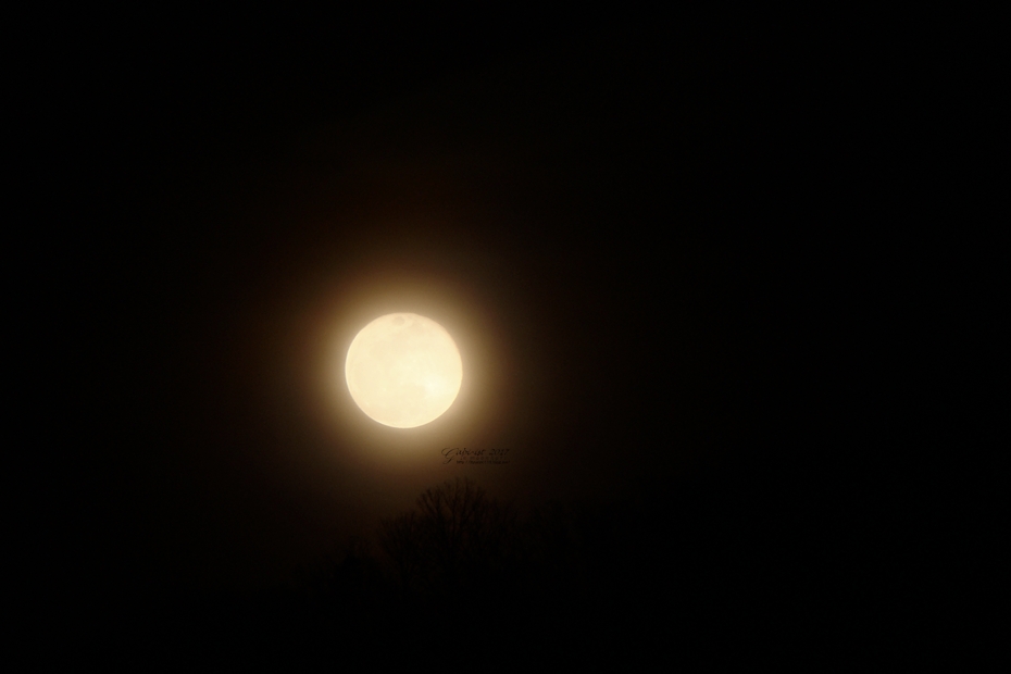 만월(Full Moon) 이미지