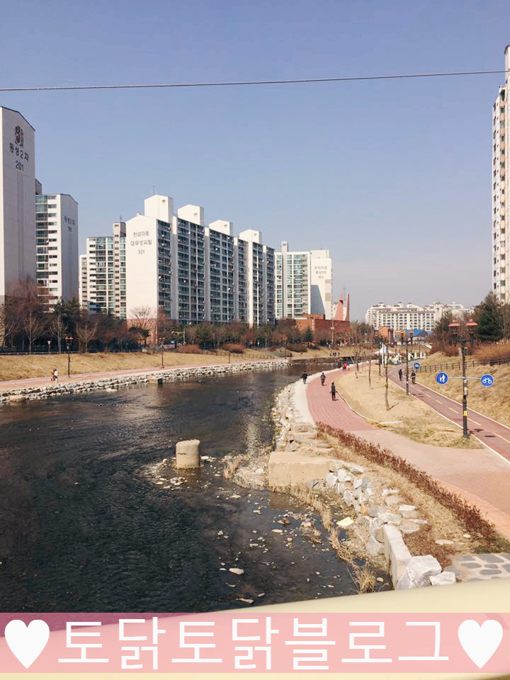 아이엠토탈짐 이미지