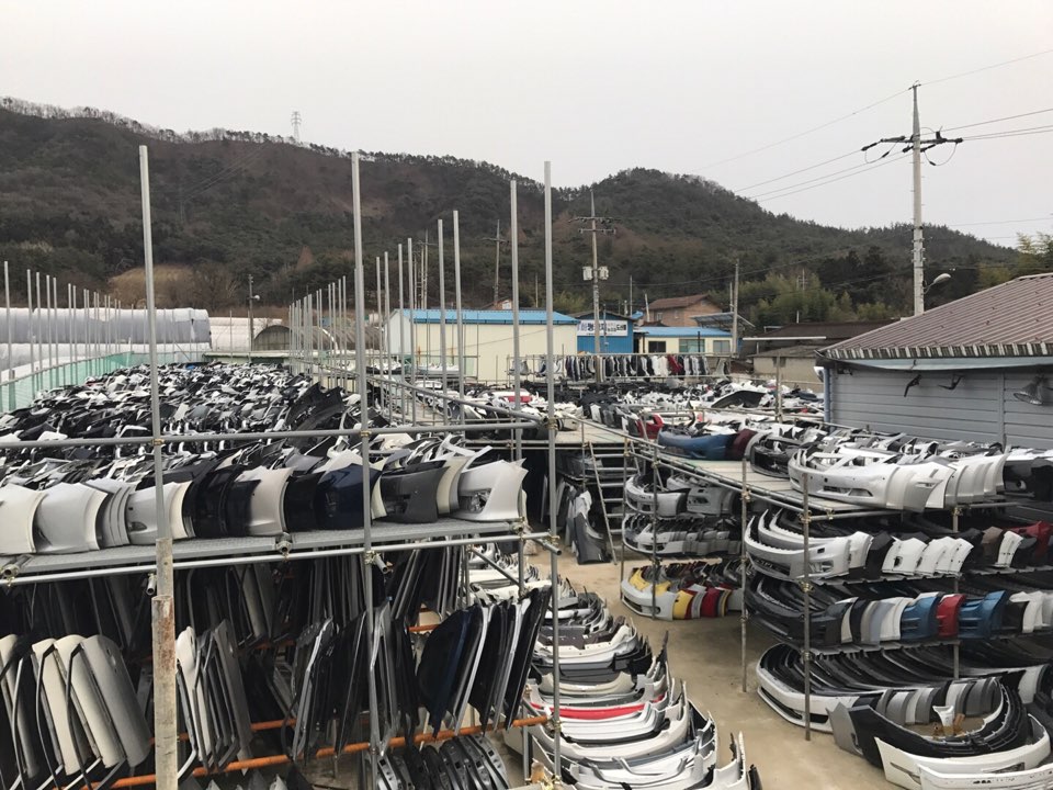 메딕카 이미지