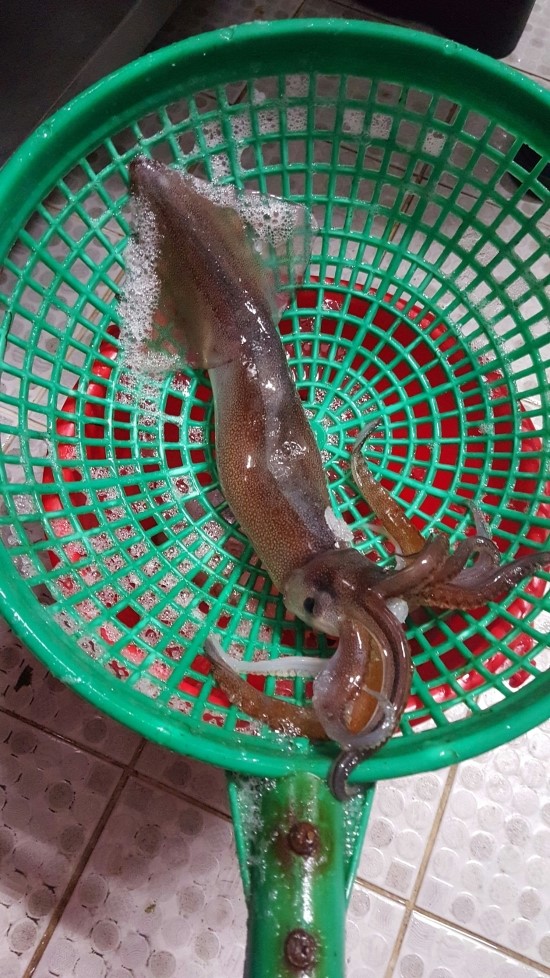 경원상회 이미지