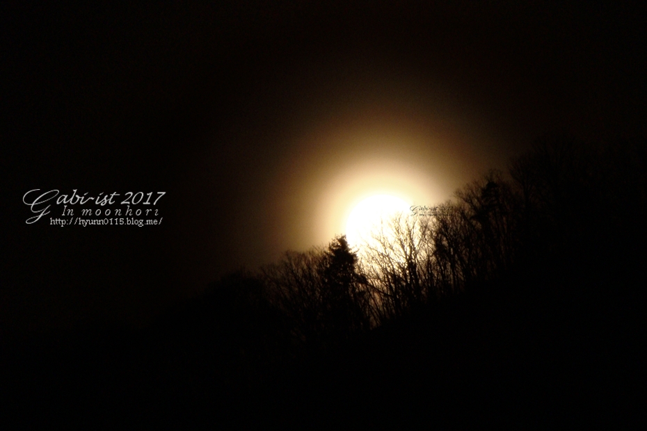 만월(Full Moon) 이미지