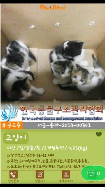 형제비니루 이미지