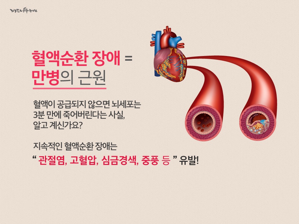버드나무한의원 이미지