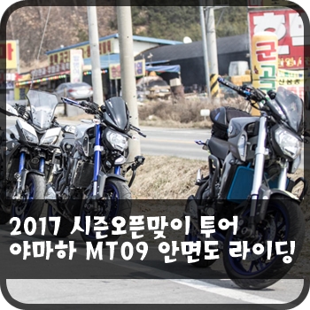파파스디마지오 이미지