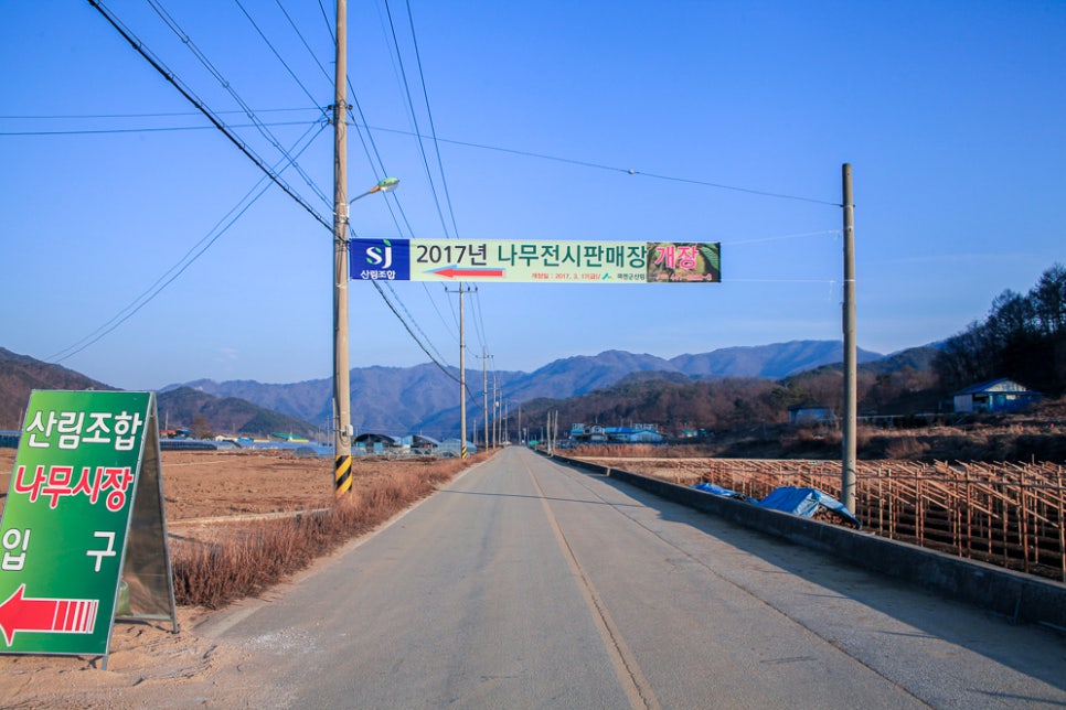 화천시장조합 이미지