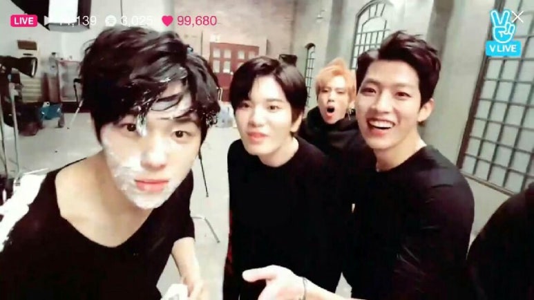 엘스타 이미지