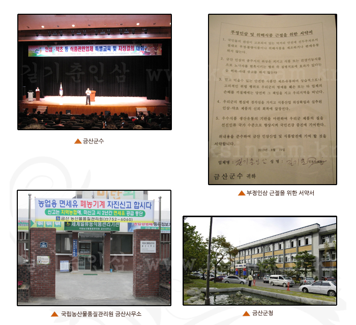 길기춘인삼 이미지