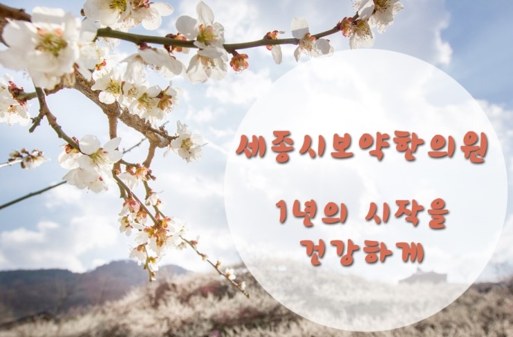 오고싶은경희한의원 이미지