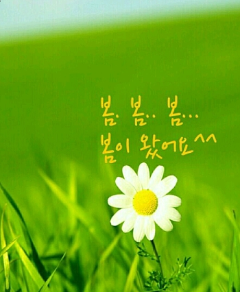 미래파출부 이미지