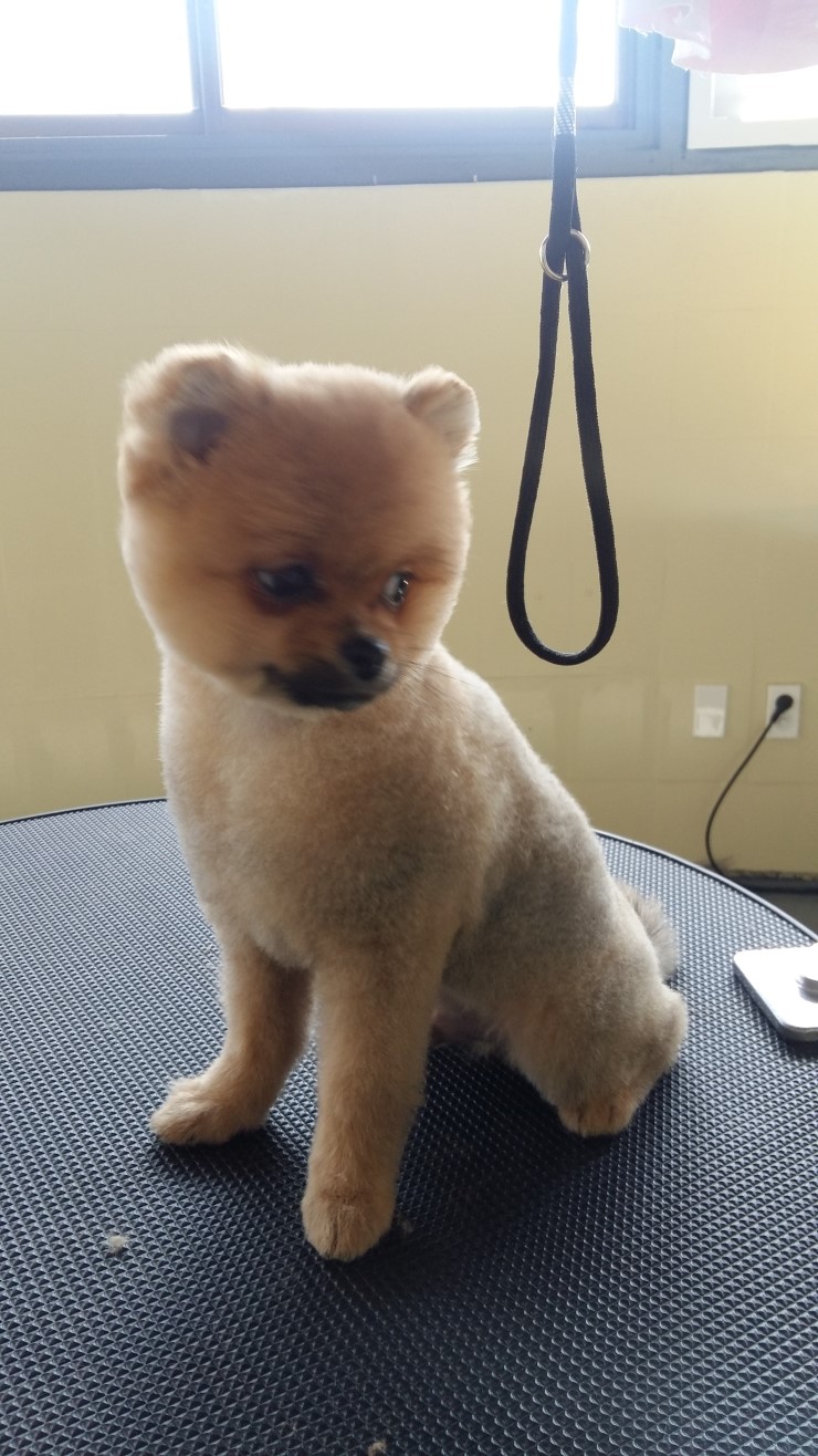 나이스가위 이미지