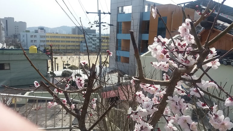 진주국수 이미지