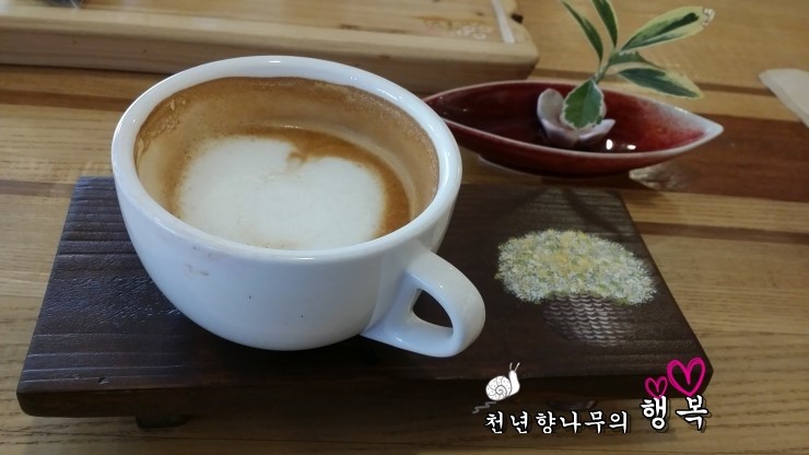 커피와나무 이미지