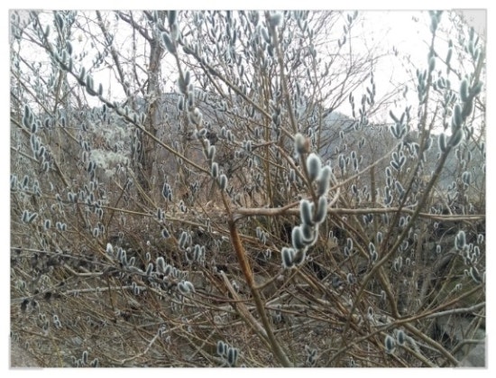 천수농원 이미지