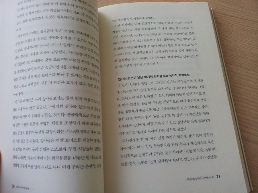연별이나라 이미지