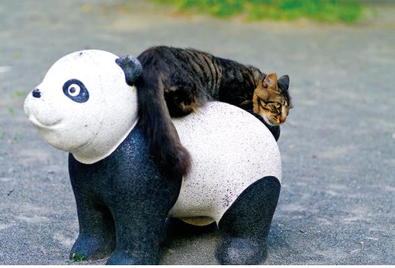 넌 이미지