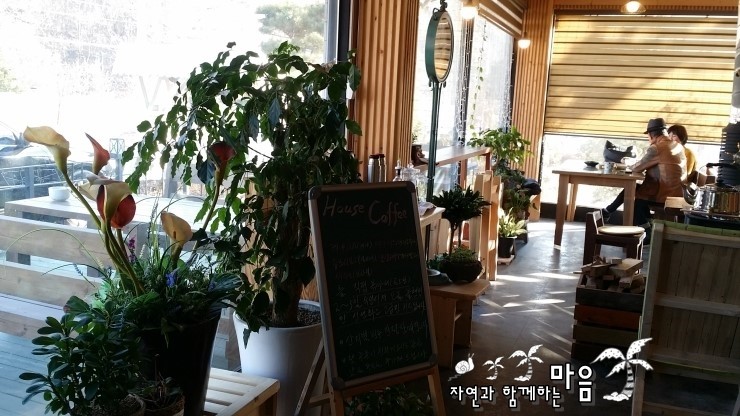 커피와나무 이미지