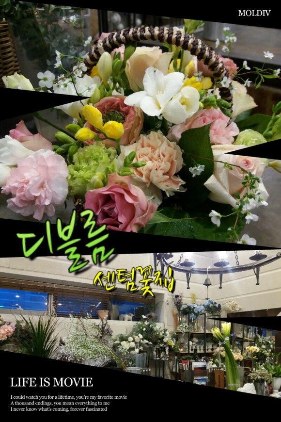 디블름 이미지