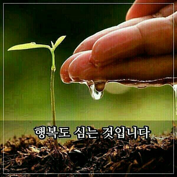 제이모 이미지