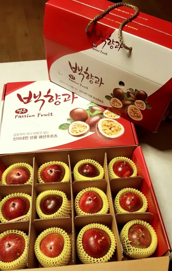 유로빌 이미지